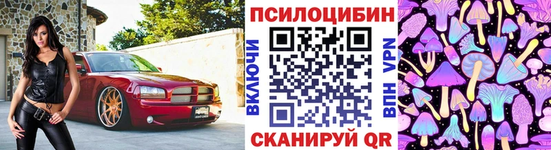 Галлюциногенные грибы Cubensis  даркнет официальный сайт  Макаров 
